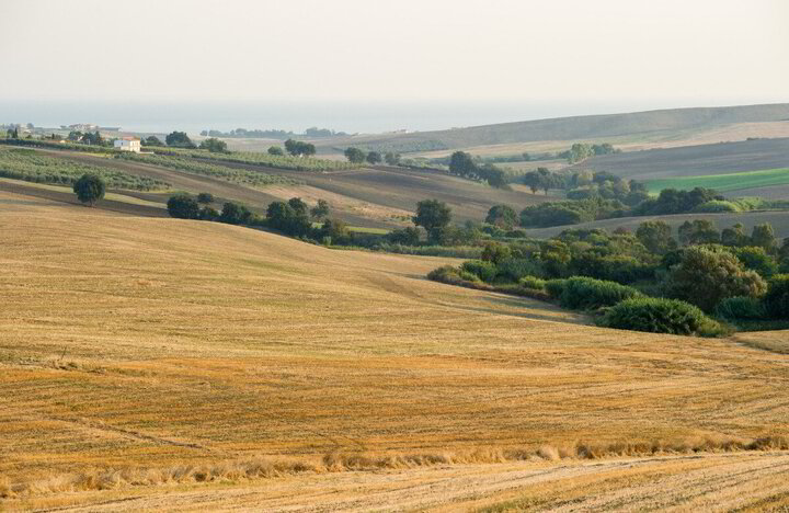 Rigenerarsi in Molise, in armonia con i cicli della natura
 4